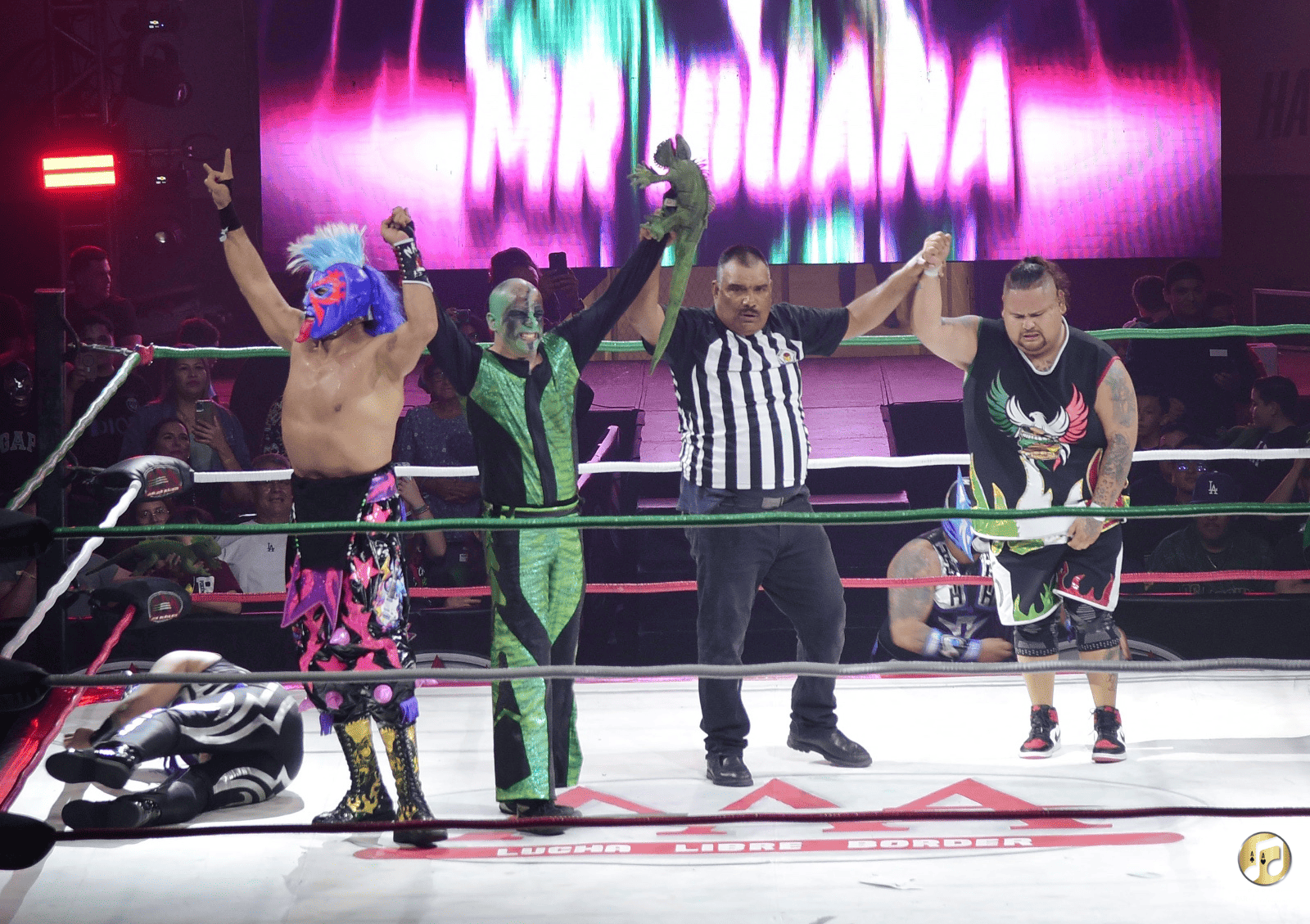 5 Eventos Anteriores